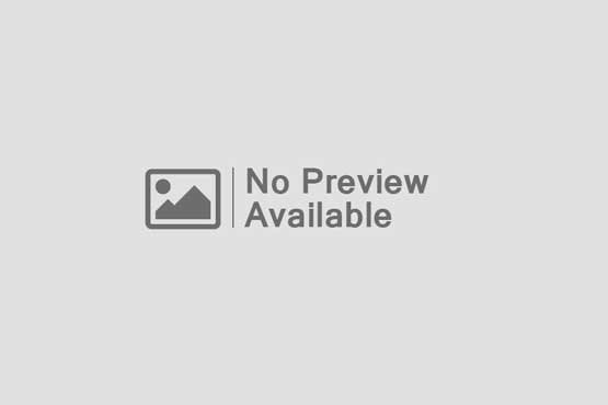 Elementor #5587