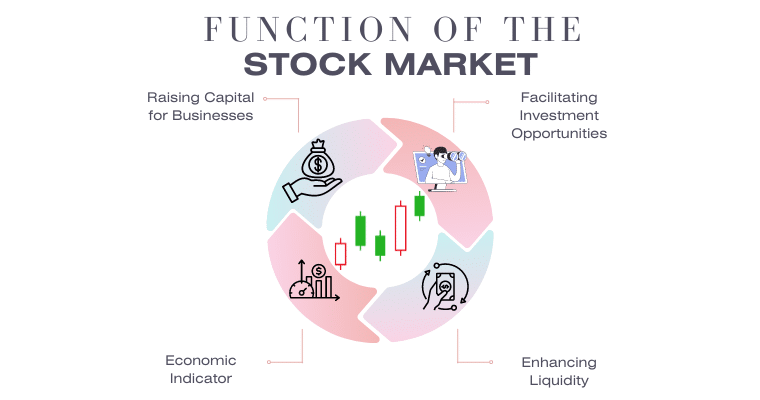 Function of the stock market